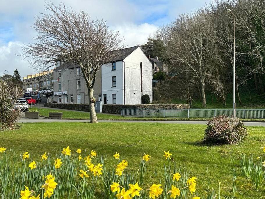 Willa Caernarfon Modern Townhouse Snowdonia Zewnętrze zdjęcie